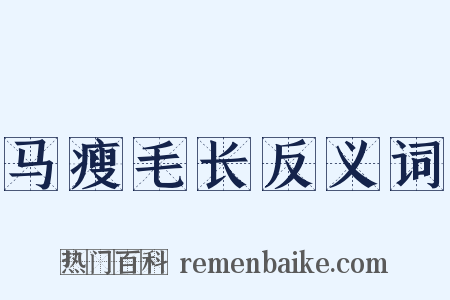 马瘦毛长反义词是什么意思的图片
